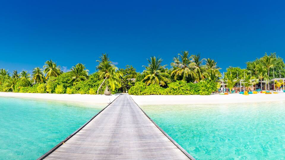 A wooden pier leading to a beach with clear turquoise water and lush green palm trees.