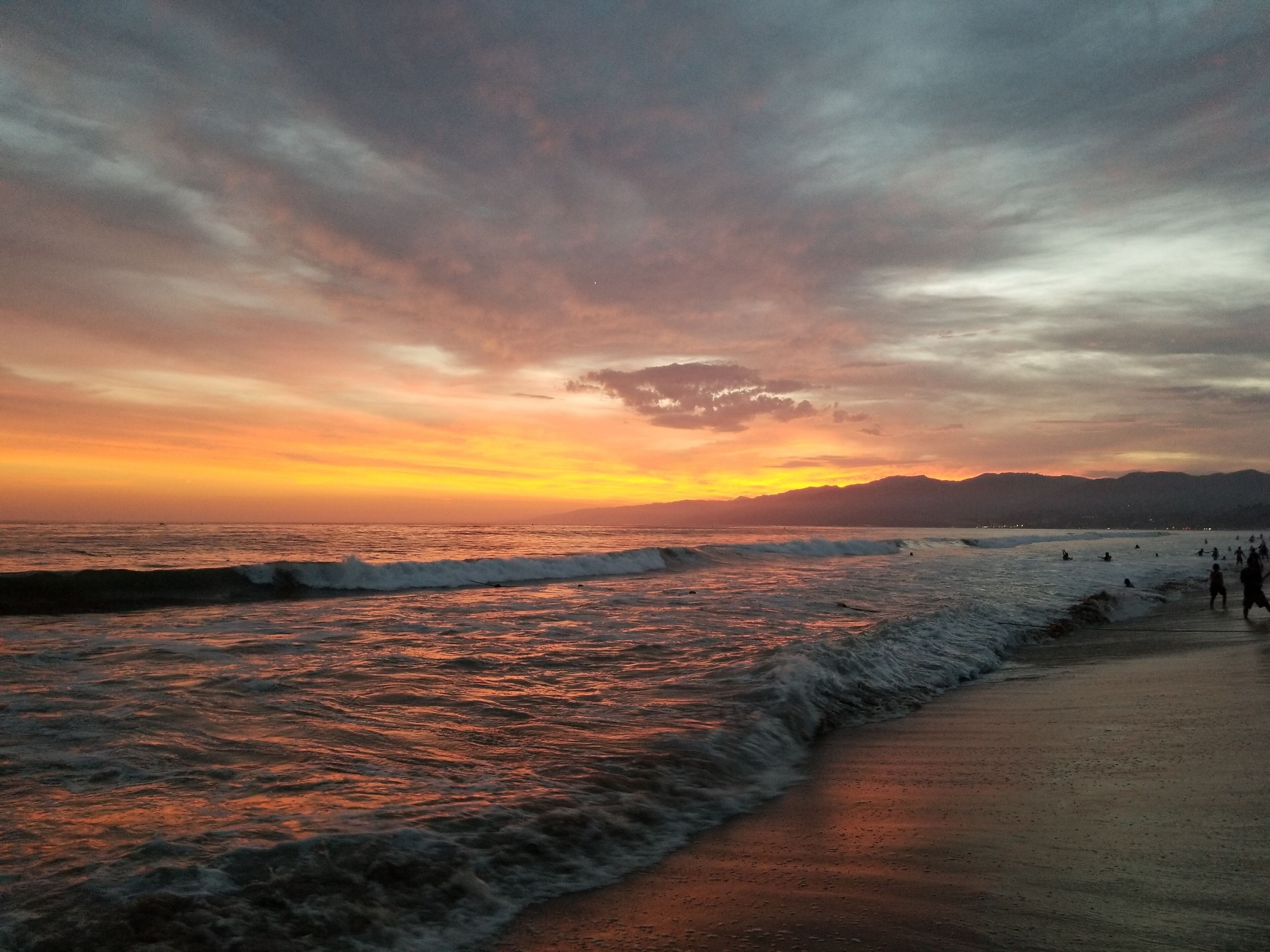 #Perspectives
#Golden 
Santa Monica!! 
#Nature
#Celebrate World Photo Day