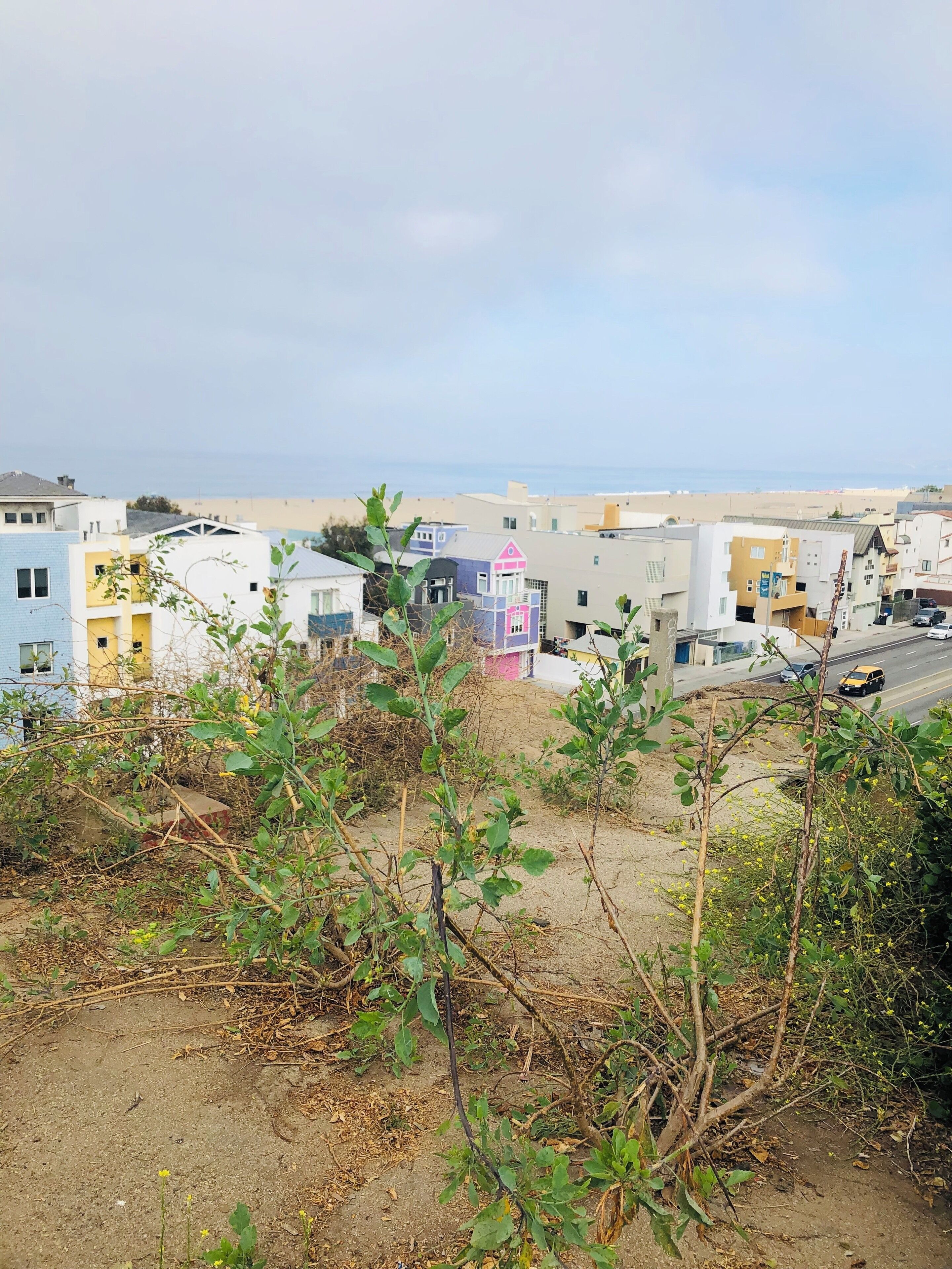 The colors of California.