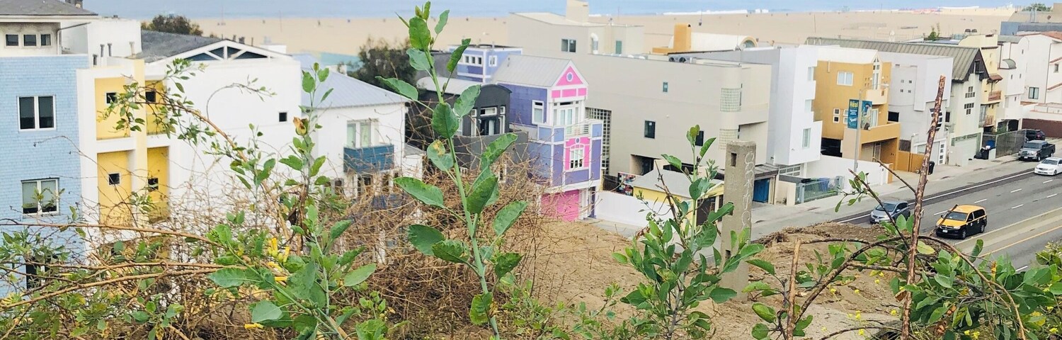 The colors of California.