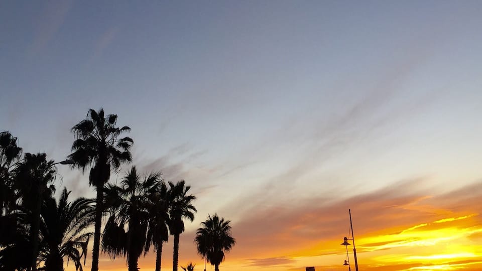 A sunset over a beach with palm trees and people.