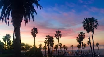 Grateful every single day