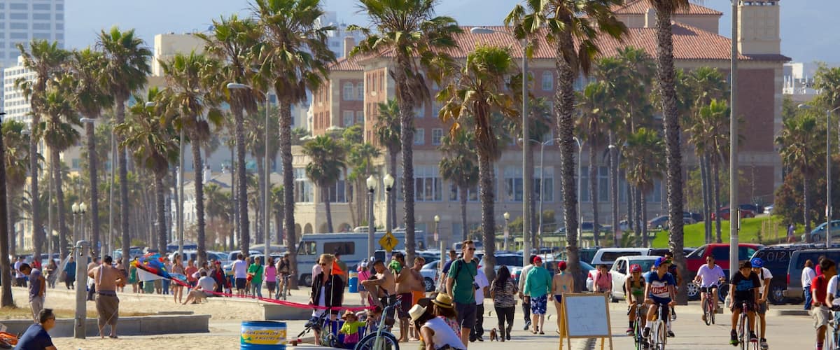 A busy beachside promenade with palm trees, cyclists, and beachgoers.