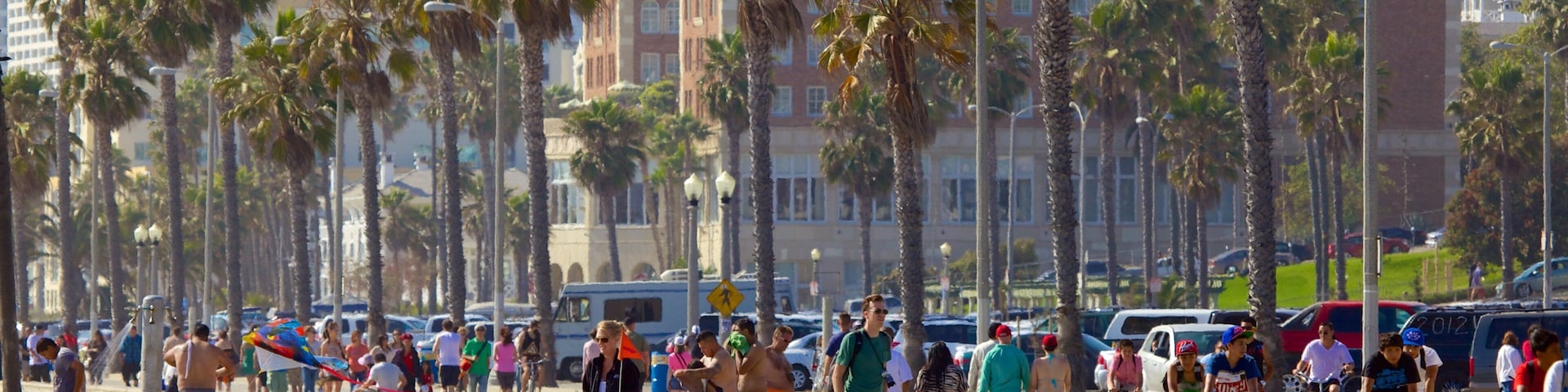 A busy beachside promenade with palm trees, cyclists, and beachgoers.