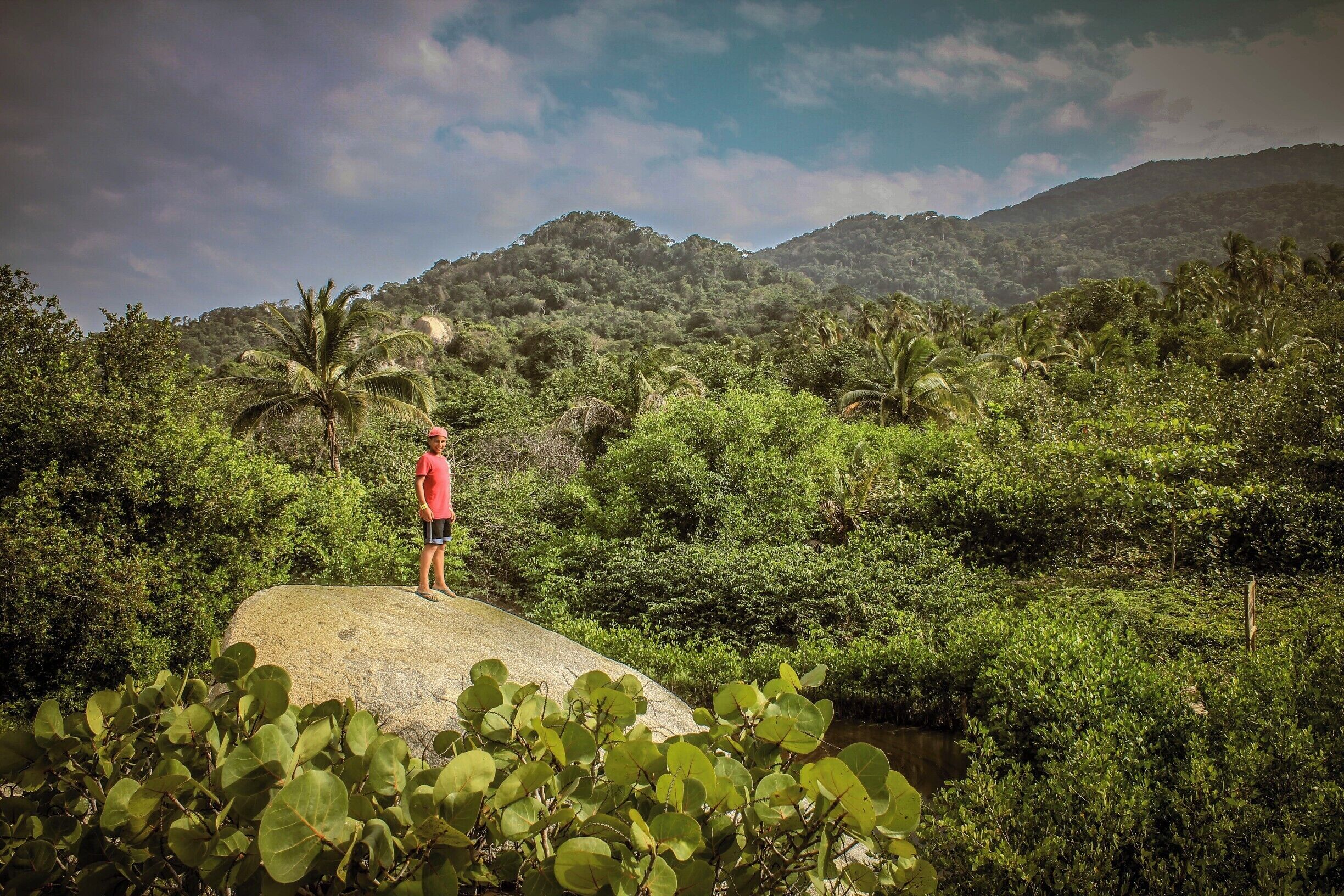 See how big it is?! It's HUGE I'm telling you HUGE and #GREEN!!!
Tayrona #NationalPark #Hiking #greatoutdoors #nature