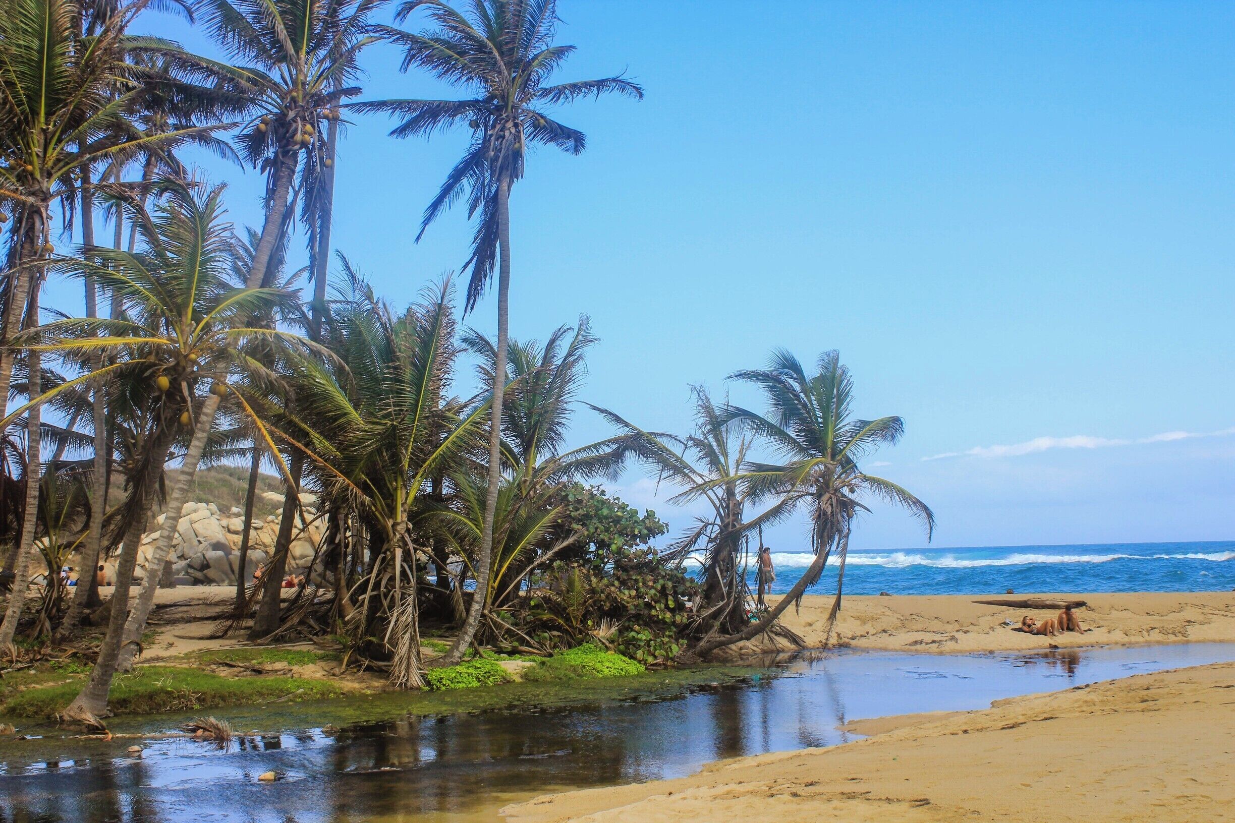 Palm trees make me feel good... They're so nice! another view of another beach of the Tayrona #NationalPark