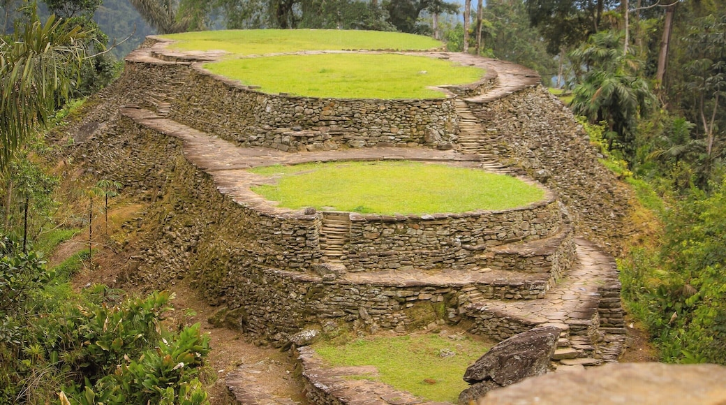 All the terraces from the Lost City from la Sierra Nevada de Santa Marta at made #InStone... It has been preserved from 700 A.D when it was built. #Culture
#troveontuesday #greatoutdoors