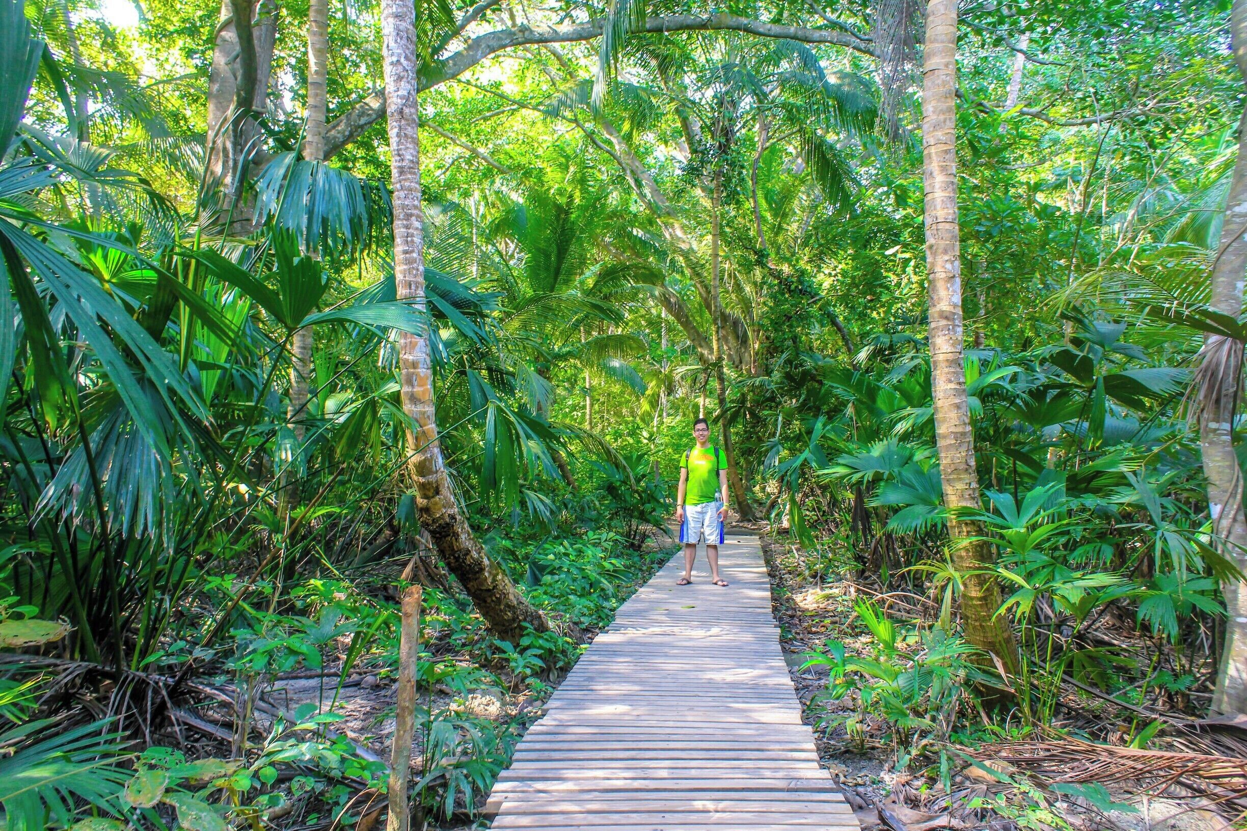 Let's play I Spy: I Spy me... where? I only see #green... Really should have worn a different color shirt, lol
This is the way to the beaches at the #NationalPark It's a massive rain forest... Amazing walk, great views