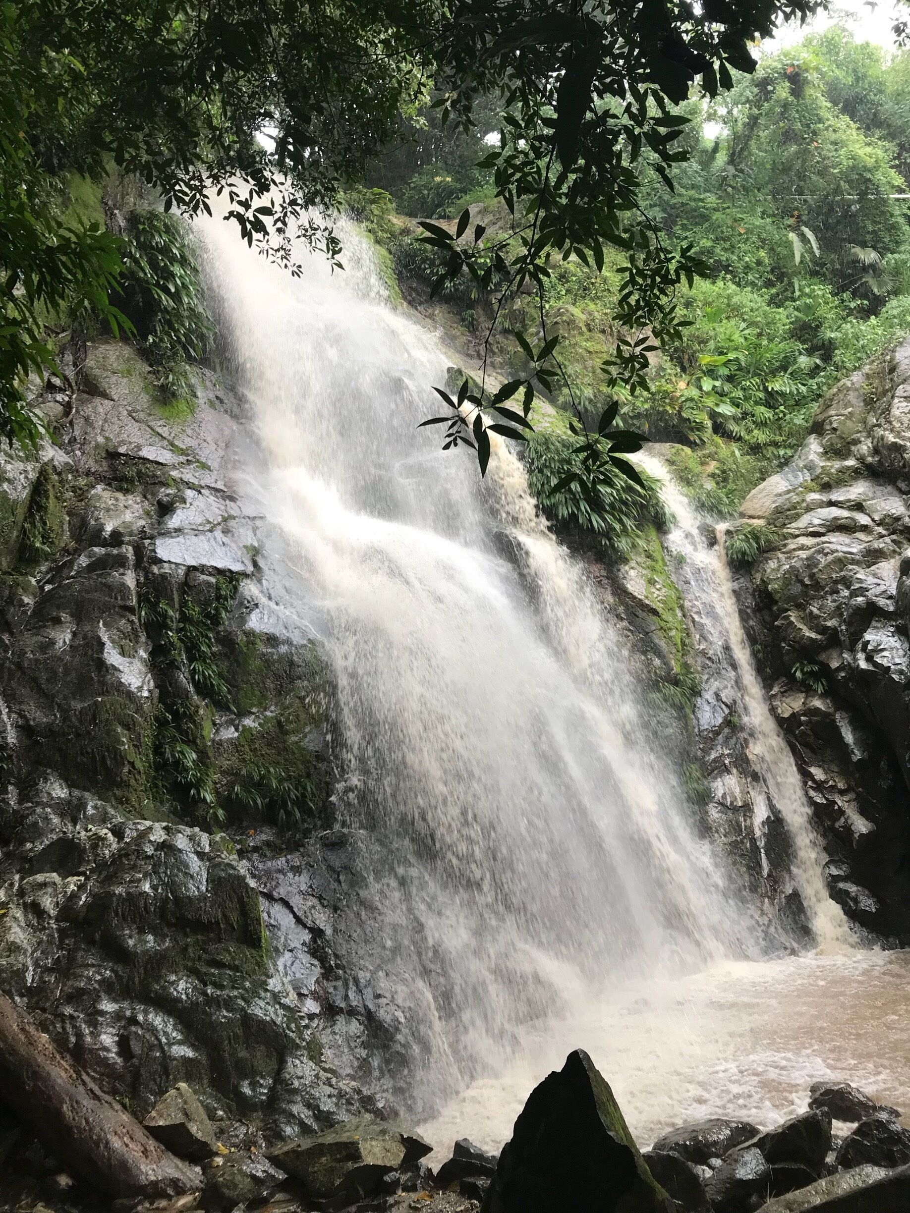 I went to ’Pozo Azul’ (45 min by foot), a wonderful melting pot of water channels streaming down from the Sierra Nevada mountains. The water was clear but also very refreshing.  I jumped in and swam around, enjoyed the silence and inhaled the peaceful vibe.
