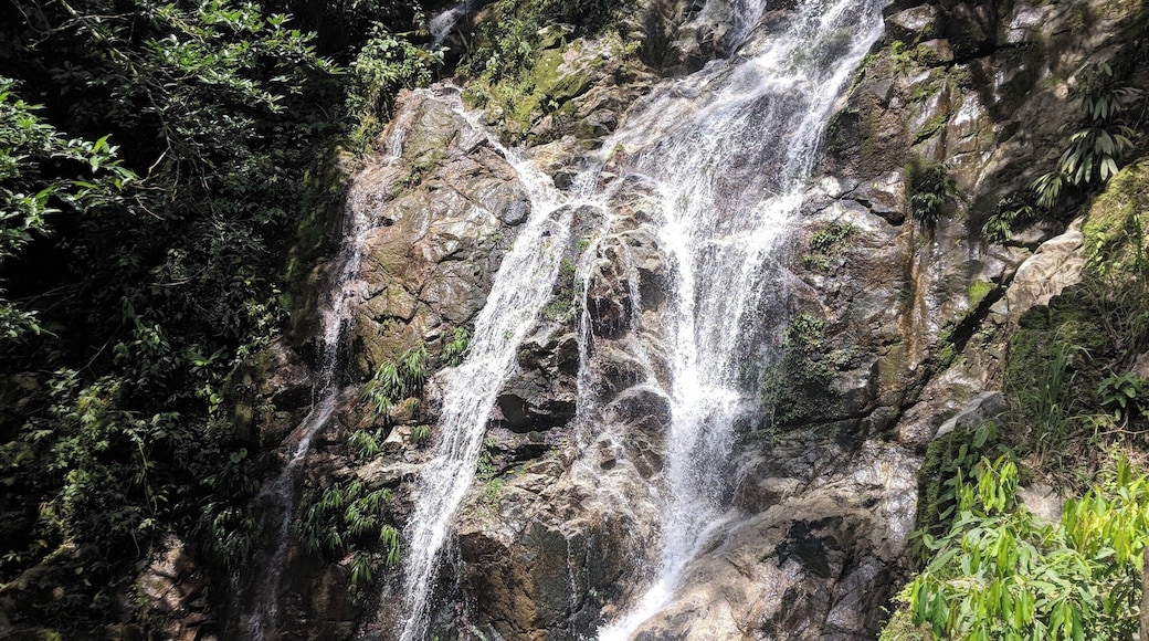 Marinka Waterfalls. Located in Arimaca, Santa Marta Columbia.
#nofilter
#hidden
#hike
#columbia
#history