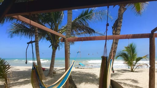 Love this place ❤✈️🇨🇴🌴🌎