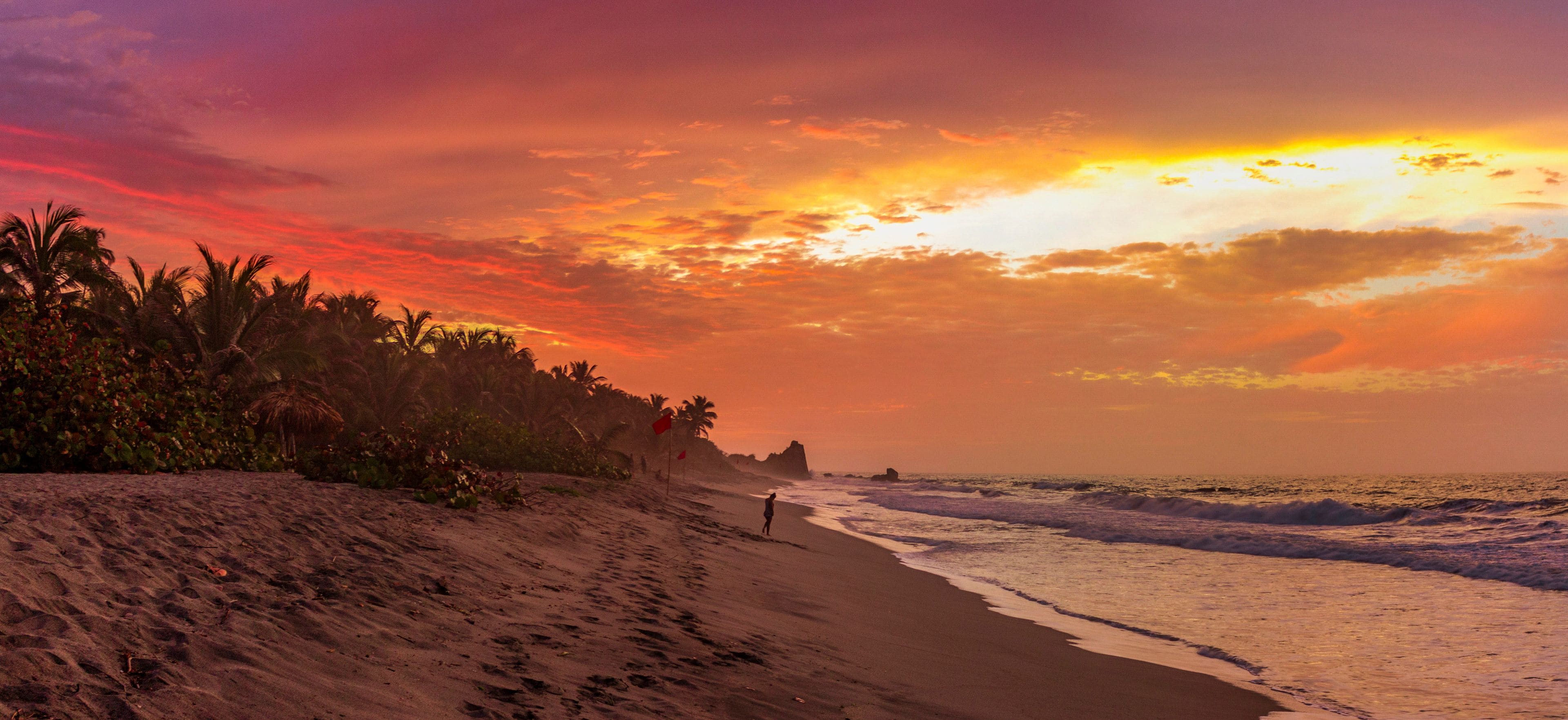 Una playa con palmeras y un atardecer.