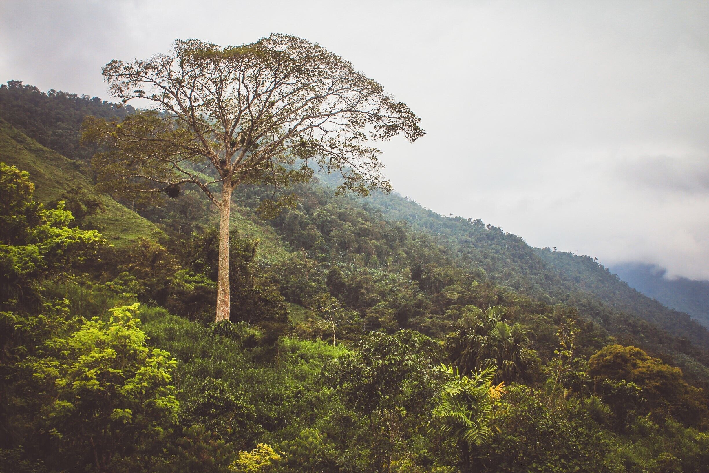 Another view from the hike to the Lost City. The views are surreal!! #Takeahike #greatoutdoors