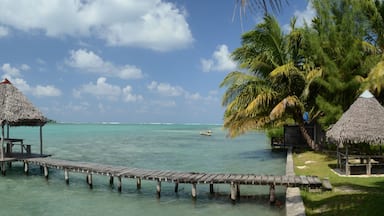 Ponton sur plage paradisiaque
