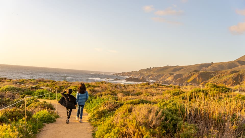 A coastal path with grassy terrain and ocean views.