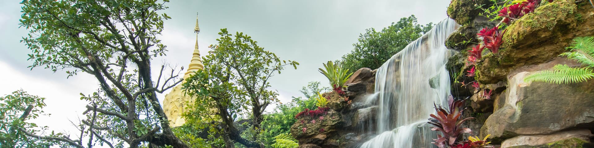 colorful plants of Wat Tham pae dan ,sakon nakhon , Thailand
