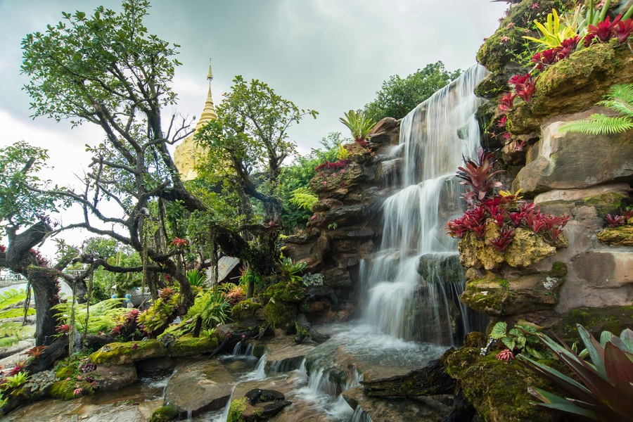 colorful plants of Wat Tham pae dan ,sakon nakhon , Thailand