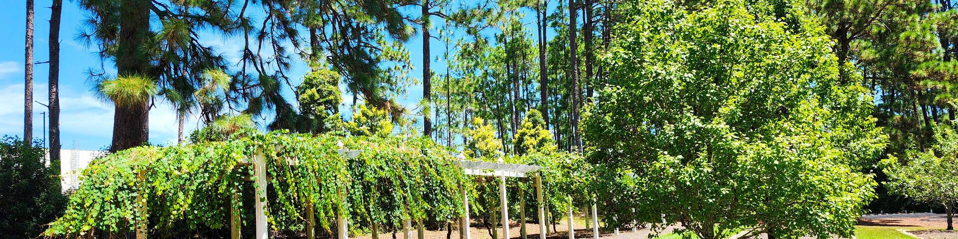 Sandhills Horticultural Gardens, Pinehurst, North Carolina, USA