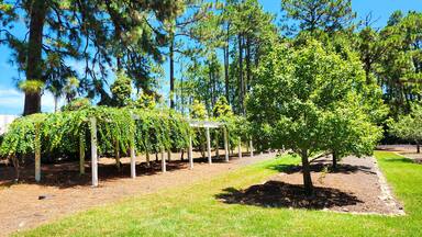 Sandhills Horticultural Gardens, Pinehurst, North Carolina, USA
