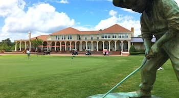 The infamous putter boy of Pinehurst.