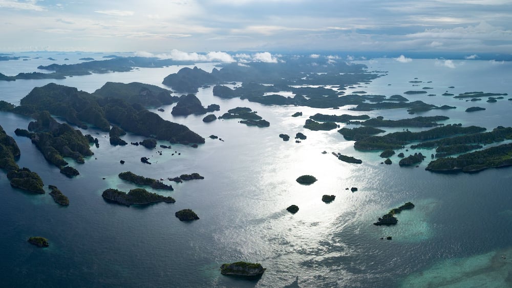 Scenic limestone islands rise from the seascape of Misool, Indonesia. This area, in southern Raja Ampat, is known for its spectacular marine biodiversity and inspiring landscapes.