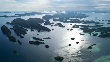 Scenic limestone islands rise from the seascape of Misool, Indonesia. This area, in southern Raja Ampat, is known for its spectacular marine biodiversity and inspiring landscapes.