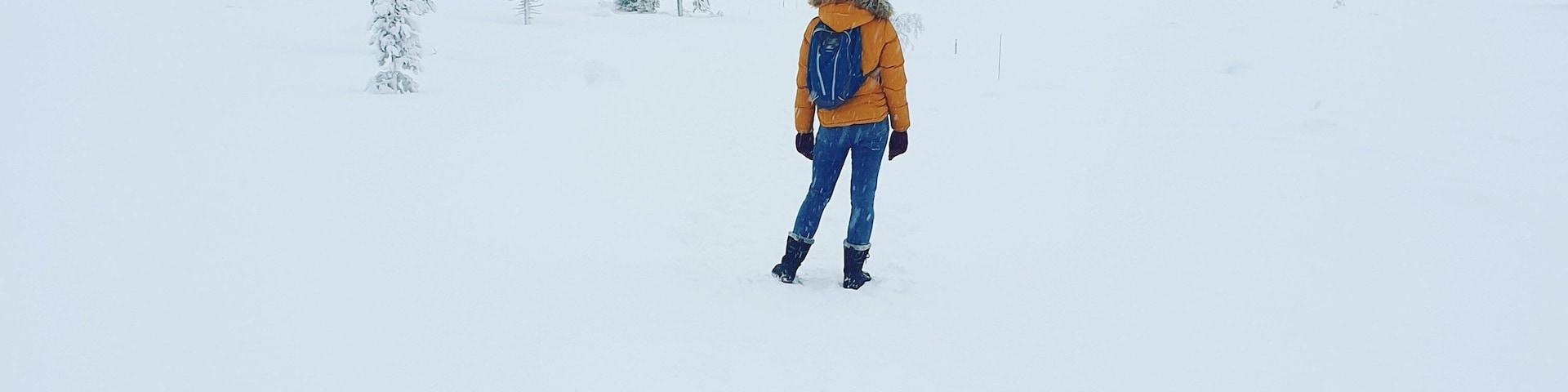 Una persona con una chaqueta amarilla y pantalones azules caminando en un paisaje nevado con pocos árboles.