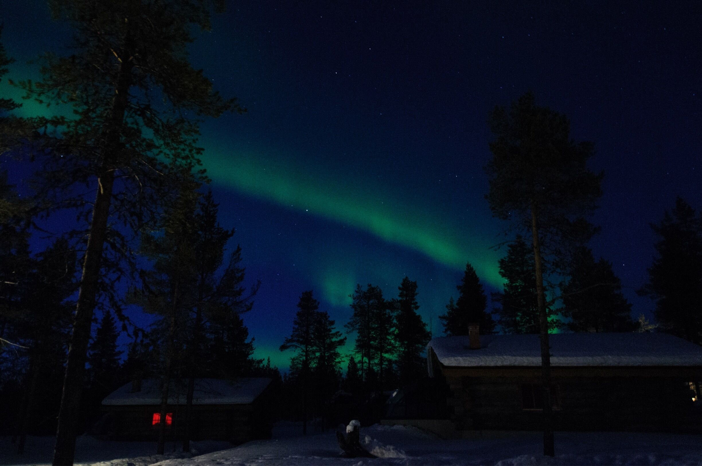 Amazing northern lights in the Arctic sky.  