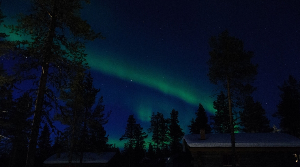 Amazing northern lights in the Arctic sky.