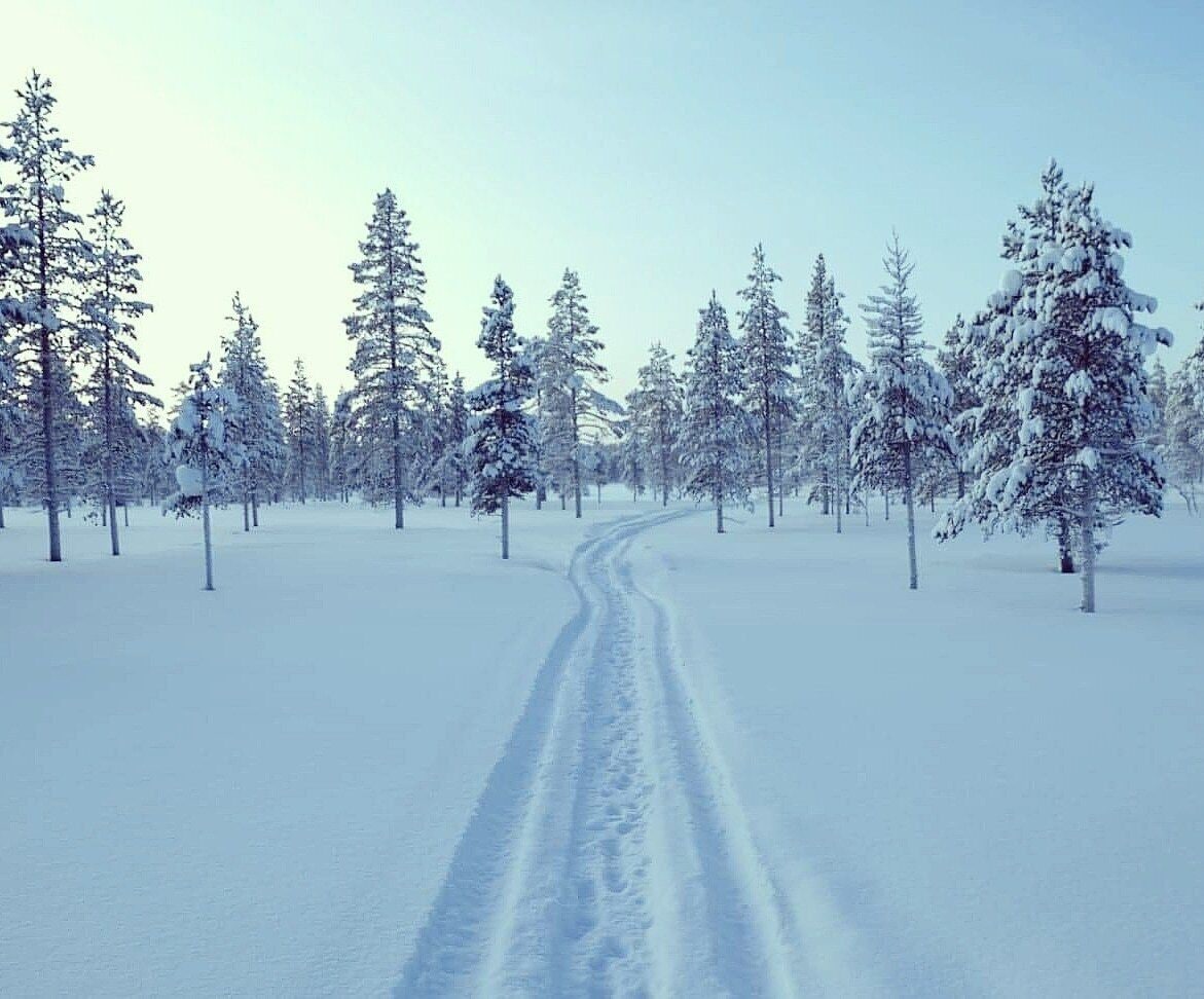 Cross country skiing routes from Saariselka are ideal for nature lovers!