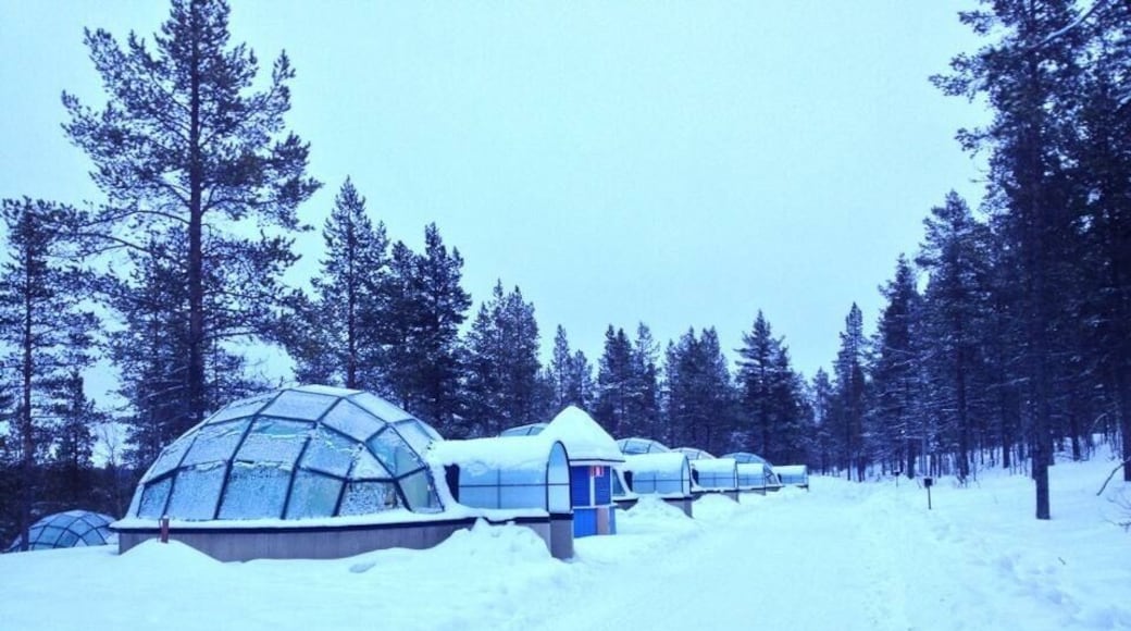 It's expensive and we did not see the Northern lights but for one night it is worth it!!