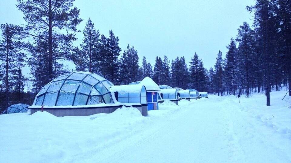 A series of snow-covered geodesic domes in a forest.
