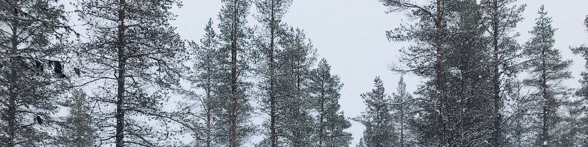 -17, covered in all snow suited, another warm sheet around us, snowing heavily, going on a reindeer safari!
#LifeAtExpedia