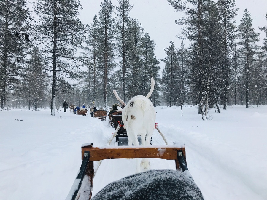 -17, covered in all snow suited, another warm sheet around us, snowing heavily, going on a reindeer safari!
#LifeAtExpedia