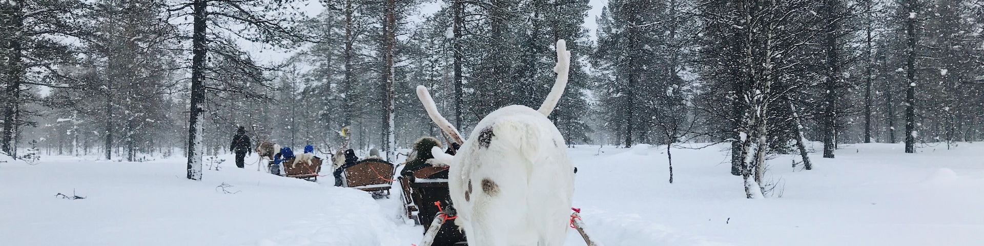 -17, covered in all snow suited, another warm sheet around us, snowing heavily, going on a reindeer safari!
#LifeAtExpedia