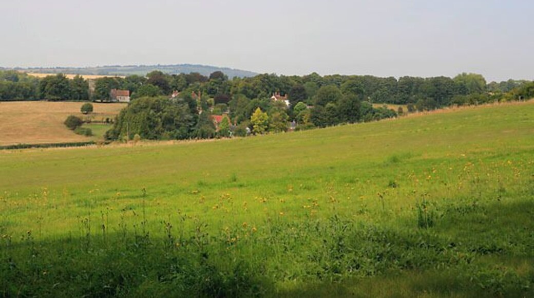 View of Soberton village from Chalk Hill. This is taken from the top of the road triangle at the southern end of Chalk Hill. St Peter's church can be seen at left. The white building is the White Lion pub (I think).