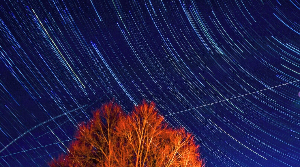 Even in the urban areas around Southampton, Fareham and Portsmouth with all it's light pollutive you can still capture star trails on a clear night.