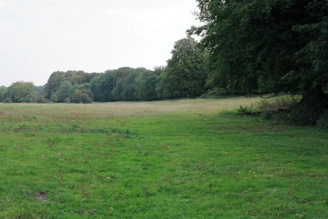 Wayfarer's Walk north of Cut Bridge, Soberton. The Walk passes along the edge of the trees which conceal the Meon Valley Trail along the disused railway line.