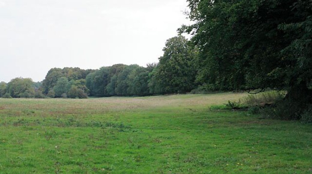 Wayfarer's Walk north of Cut Bridge, Soberton. The Walk passes along the edge of the trees which conceal the Meon Valley Trail along the disused railway line.