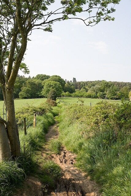 Bridleway approaching Spring Copse, Chilworth Ahead, Spring Copse on the right, anhd Hut Wood on the left of the path.