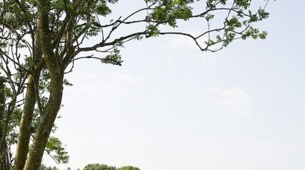 Bridleway approaching Spring Copse, Chilworth Ahead, Spring Copse on the right, anhd Hut Wood on the left of the path.