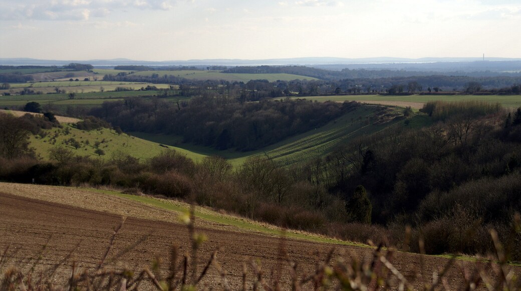 The Punch Bowl, a dry valley on the southern side of Beacon Hill in the parish of Exton, looking towards the Solent and the Isle of Wight. The chimney of Fawley Power Station can be seen to the right.