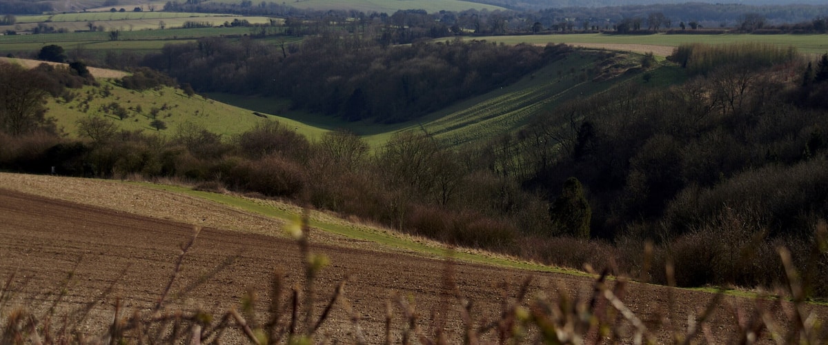 Rolling hills, fields, and a distant tower.