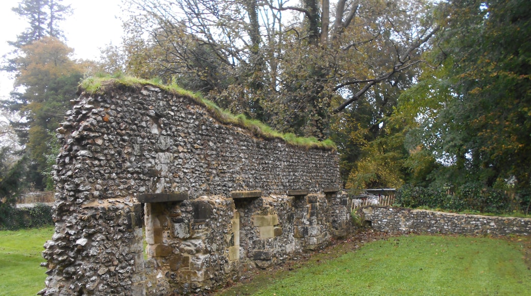 Ruined Norman hall St John's House, Warnford, Hampshire.