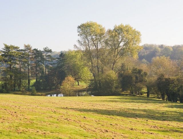 Lake in grounds of Upland Park Hotel, Droxford