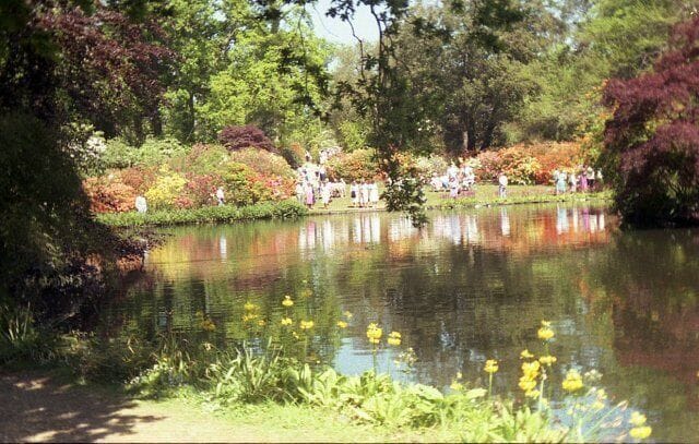 Lake reflections at Exbury Gardens