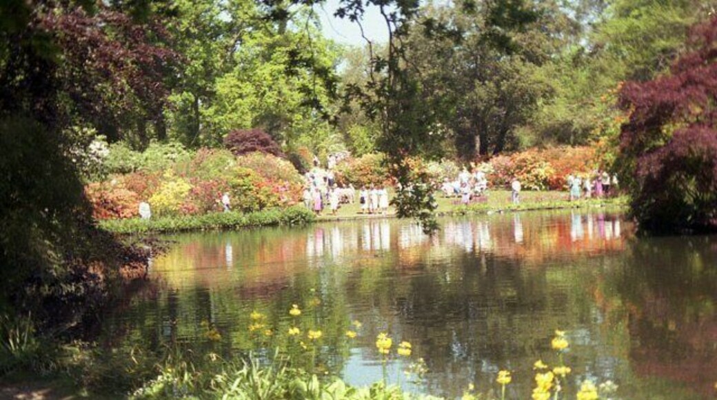 Lake reflections at Exbury Gardens