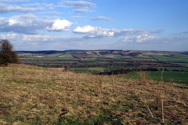 Beacon Hill The top of Beacon Hill by the trig point, looking towards Old Winchester Hill with Butser Hill beyond.