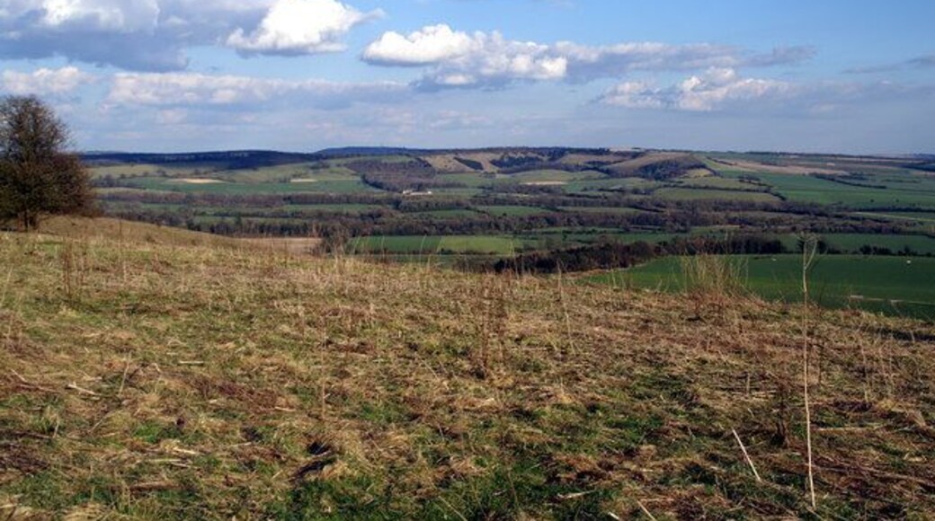 Beacon Hill The top of Beacon Hill by the trig point, looking towards Old Winchester Hill with Butser Hill beyond.