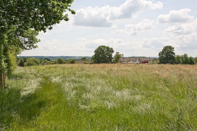 Field west of Claylands Local Nature Reserve The houses beyond are part of Cunningham Avenue.